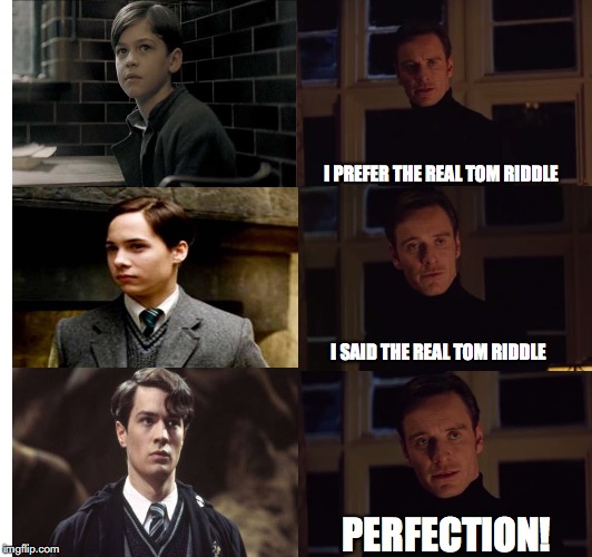 Perfect Tom Riddle | I PREFER THE REAL TOM RIDDLE; I SAID THE REAL TOM RIDDLE; PERFECTION! | image tagged in perfection,lord voldemort,voldemort,harry potter,harry potter meme,tom riddle | made w/ Imgflip meme maker