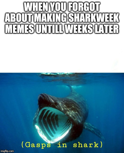 Gasping shark | WHEN YOU FORGOT ABOUT MAKING SHARKWEEK MEMES UNTILL WEEKS LATER; (Gasps in shark) | image tagged in memes,funny memes | made w/ Imgflip meme maker