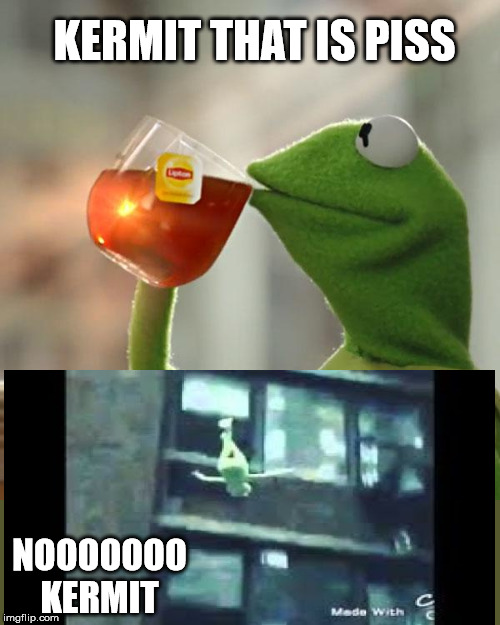 But That's None Of My Business | KERMIT THAT IS PISS; NOOOOOOO KERMIT | image tagged in memes,but thats none of my business,kermit the frog | made w/ Imgflip meme maker