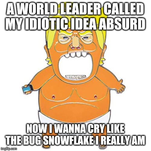 Memes | A WORLD LEADER CALLED MY IDIOTIC IDEA ABSURD; NOW I WANNA CRY LIKE THE BUG SNOWFLAKE I REALLY AM | image tagged in creepy condescending wonka | made w/ Imgflip meme maker