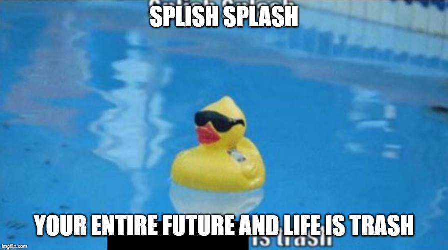 Splish Splash |  SPLISH SPLASH; YOUR ENTIRE FUTURE AND LIFE IS TRASH | image tagged in splish splash | made w/ Imgflip meme maker