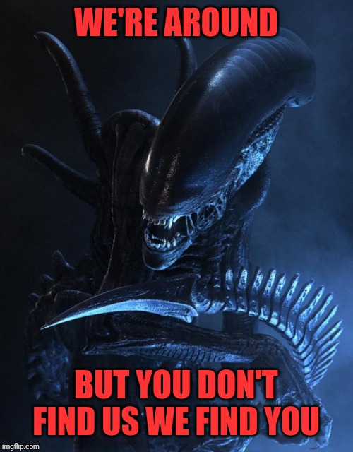 Alien Xenomorph | WE'RE AROUND BUT YOU DON'T FIND US WE FIND YOU | image tagged in alien xenomorph | made w/ Imgflip meme maker