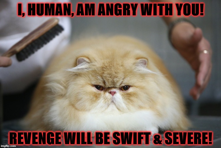 I M ANGRY Imgflip