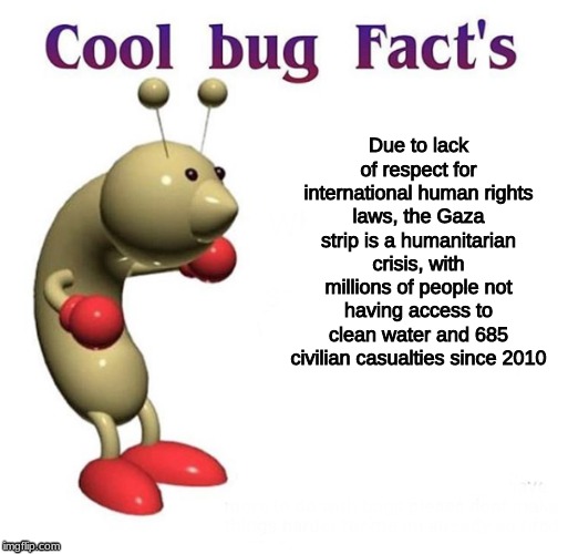 Cool Bug Facts | Due to lack of respect for international human rights laws, the Gaza strip is a humanitarian crisis, with millions of people not having access to clean water and 685 civilian casualties since 2010 | image tagged in cool bug facts | made w/ Imgflip meme maker
