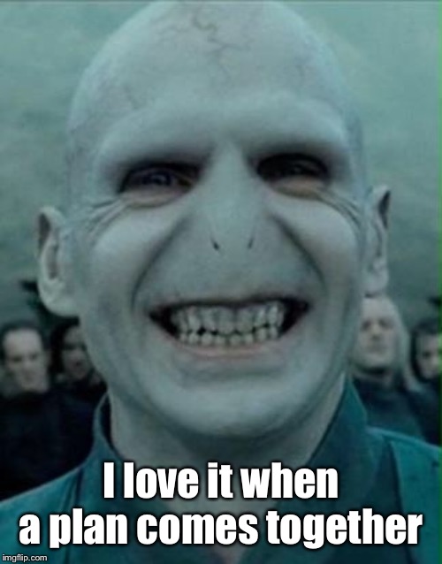 Voldemort Grin | I love it when a plan comes together | image tagged in voldemort grin | made w/ Imgflip meme maker