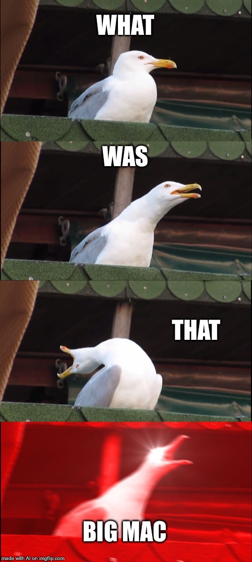Inhaling Seagull | WHAT; WAS; THAT; BIG MAC | image tagged in memes,inhaling seagull | made w/ Imgflip meme maker
