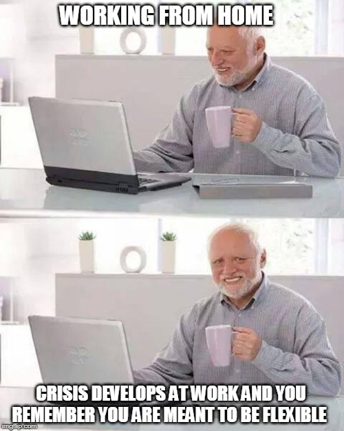 Hide the Pain Harold Meme | WORKING FROM HOME; CRISIS DEVELOPS AT WORK AND YOU REMEMBER YOU ARE MEANT TO BE FLEXIBLE | image tagged in memes,hide the pain harold | made w/ Imgflip meme maker