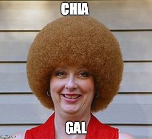 Chia | CHIA; GAL | image tagged in chia | made w/ Imgflip meme maker