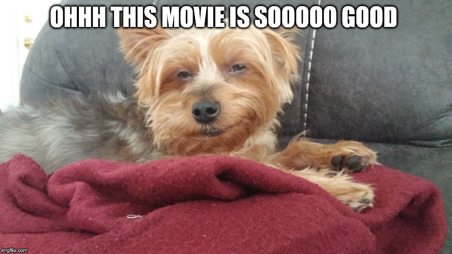 High Dog Verhighzon | OHHH THIS MOVIE IS SOOOOO GOOD | image tagged in high dog verhighzon | made w/ Imgflip meme maker