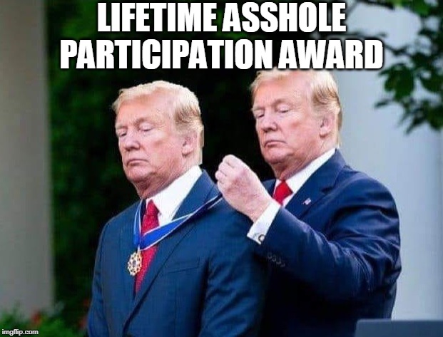 Lifetime Asshole Participation Award | LIFETIME ASSHOLE PARTICIPATION AWARD | image tagged in trump,asshole,narcissist,participation award | made w/ Imgflip meme maker