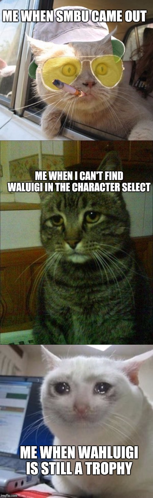 ME WHEN SMBU CAME OUT; ME WHEN I CAN'T FIND WALUIGI IN THE CHARACTER SELECT; ME WHEN WAHLUIGI IS STILL A TROPHY | image tagged in memes,fear and loathing cat,depressed cat,sad cat tears | made w/ Imgflip meme maker