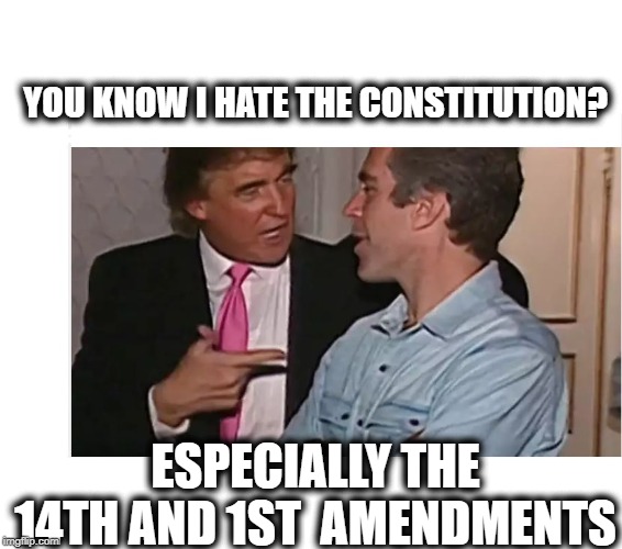 The opposite of a "patriot" | YOU KNOW I HATE THE CONSTITUTION? ESPECIALLY THE 14TH AND 1ST  AMENDMENTS | image tagged in memes,politics,impeach trump,maga,pervert,traitor | made w/ Imgflip meme maker