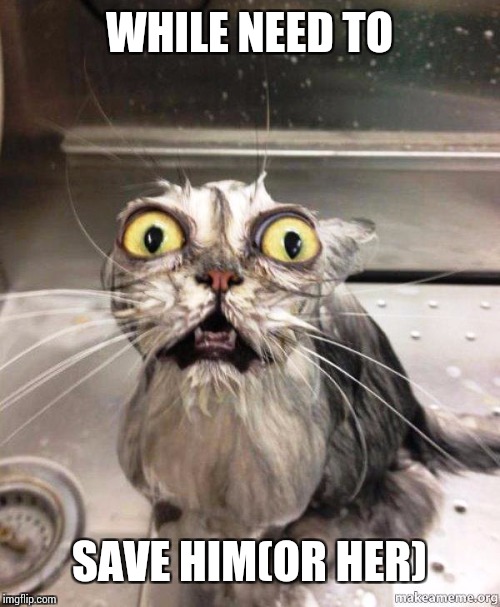 help me wet cat | WHILE NEED TO SAVE HIM(OR HER) | image tagged in help me wet cat | made w/ Imgflip meme maker