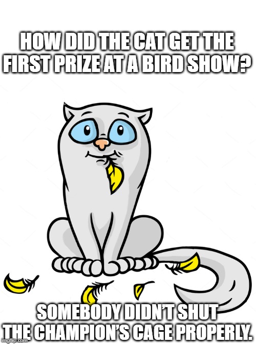 A Bird show | HOW DID THE CAT GET THE FIRST PRIZE AT A BIRD SHOW? SOMEBODY DIDN’T SHUT THE CHAMPION’S CAGE PROPERLY. | image tagged in cat | made w/ Imgflip meme maker