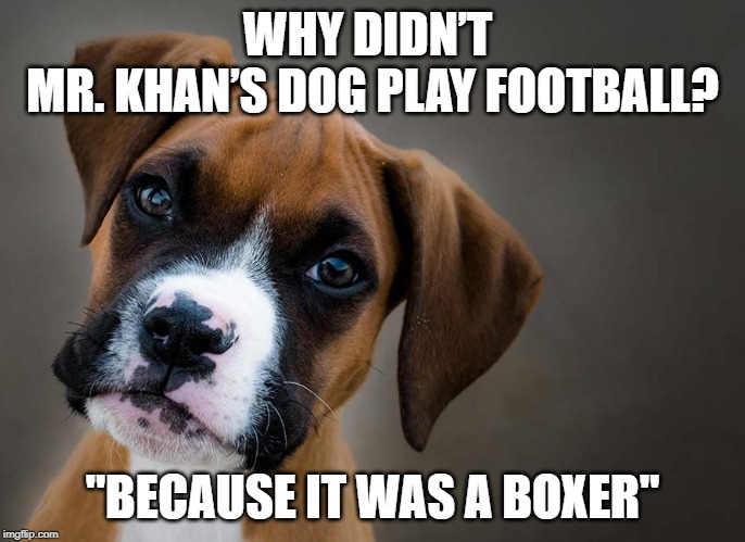 Boxer | WHY DIDN’T 
MR. KHAN’S DOG PLAY FOOTBALL? "BECAUSE IT WAS A BOXER" | image tagged in sport | made w/ Imgflip meme maker