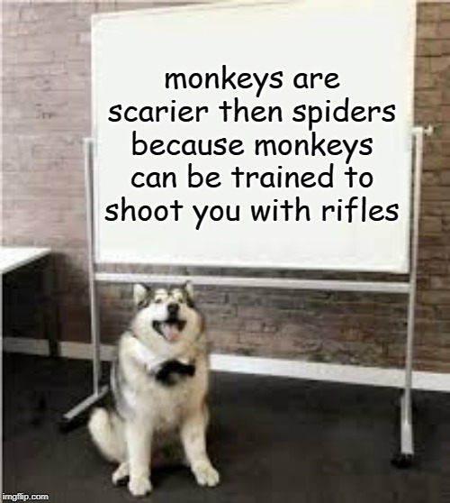 Whiteboard Dog | monkeys are scarier then spiders because monkeys can be trained to shoot you with rifles | image tagged in whiteboard dog | made w/ Imgflip meme maker