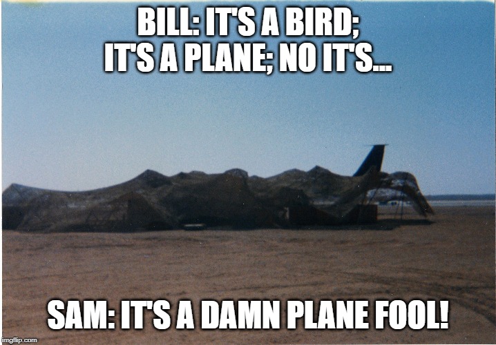 netted plane | BILL: IT'S A BIRD; IT'S A PLANE; NO IT'S... SAM: IT'S A DAMN PLANE FOOL! | image tagged in airplane | made w/ Imgflip meme maker