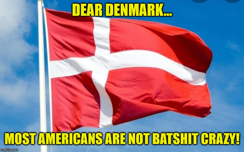 Danish Flag | DEAR DENMARK... MOST AMERICANS ARE NOT BATSHIT CRAZY! | image tagged in danish flag | made w/ Imgflip meme maker