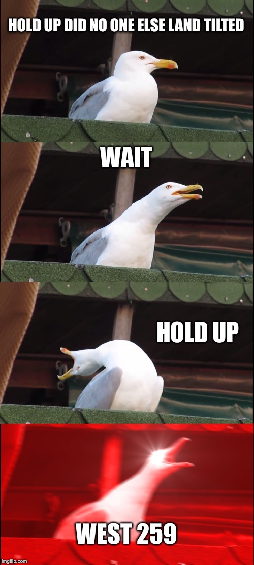 Inhaling Seagull Meme | HOLD UP DID NO ONE ELSE LAND TILTED; WAIT; HOLD UP; WEST 259 | image tagged in memes,inhaling seagull | made w/ Imgflip meme maker
