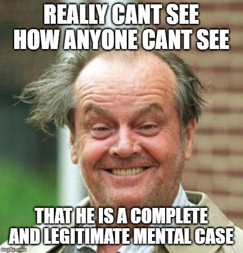 Jack Nicholson Crazy Hair | REALLY CANT SEE HOW ANYONE CANT SEE THAT HE IS A COMPLETE AND LEGITIMATE MENTAL CASE | image tagged in jack nicholson crazy hair | made w/ Imgflip meme maker