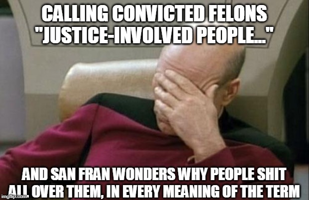 Captain Picard Facepalm Meme | CALLING CONVICTED FELONS "JUSTICE-INVOLVED PEOPLE..."; AND SAN FRAN WONDERS WHY PEOPLE SHIT ALL OVER THEM, IN EVERY MEANING OF THE TERM | image tagged in memes,captain picard facepalm | made w/ Imgflip meme maker
