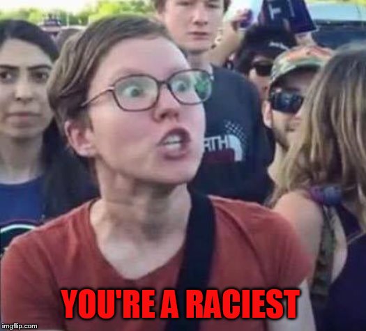 Angry Liberal | YOU'RE A RACIEST | image tagged in angry liberal | made w/ Imgflip meme maker