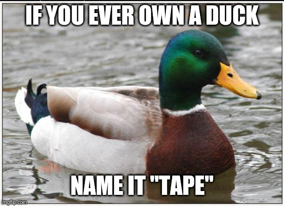 Actual Advice Mallard | IF YOU EVER OWN A DUCK; NAME IT "TAPE" | image tagged in memes,actual advice mallard | made w/ Imgflip meme maker