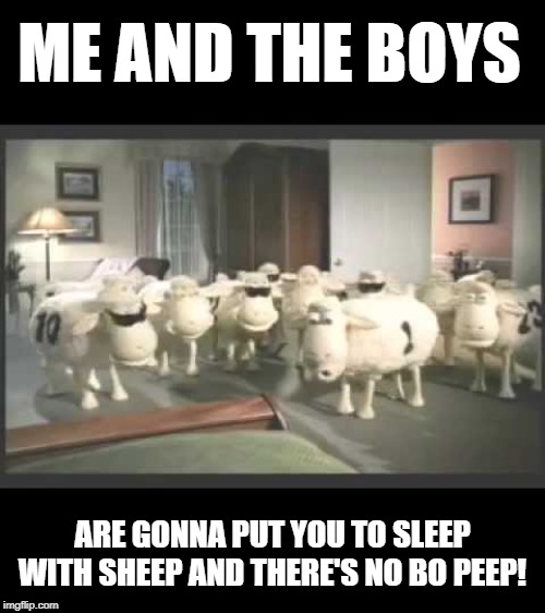 It's My first meme for  Me And The Boys Week - a Nixie.Knox and CravenMoordik event (Aug 19-25) | ME AND THE BOYS; ARE GONNA PUT YOU TO SLEEP WITH SHEEP AND THERE'S NO BO PEEP! | image tagged in me and the boys week,sheep,hip hop,funny | made w/ Imgflip meme maker