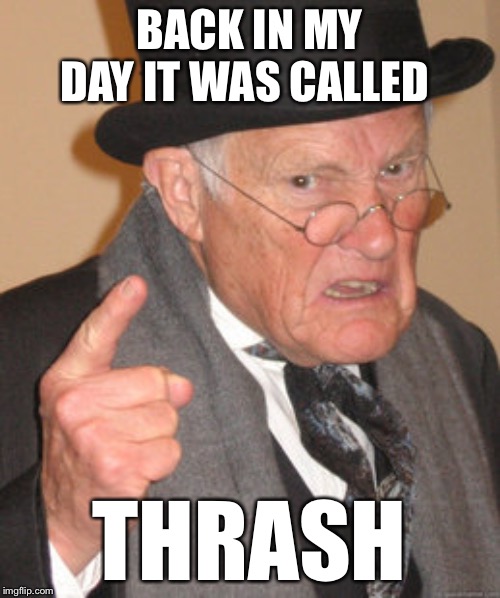 When your KIDS tell YOU to turn your music down, how times have changed | BACK IN MY DAY IT WAS CALLED; THRASH | image tagged in memes,back in my day | made w/ Imgflip meme maker