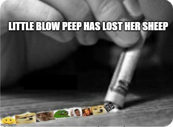 Meme Snort | LITTLE BLOW PEEP HAS LOST HER SHEEP | image tagged in meme snort | made w/ Imgflip meme maker