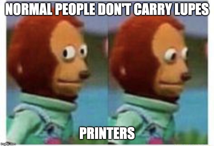 side eye teddy | NORMAL PEOPLE DON'T CARRY LUPES; PRINTERS | image tagged in side eye teddy | made w/ Imgflip meme maker