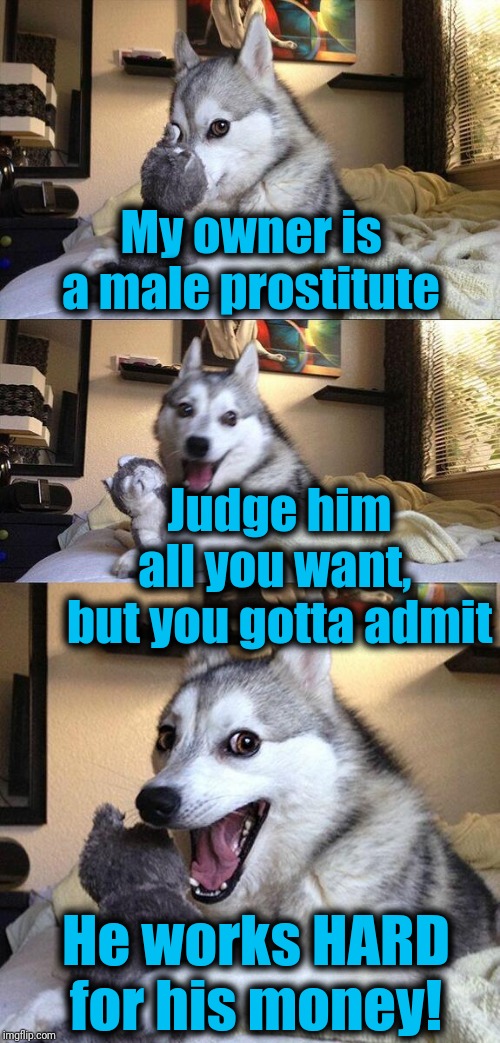 He kinda has no choice | My owner is a male prostitute; Judge him all you want,  but you gotta admit; He works HARD for his money! | image tagged in memes,bad pun dog | made w/ Imgflip meme maker