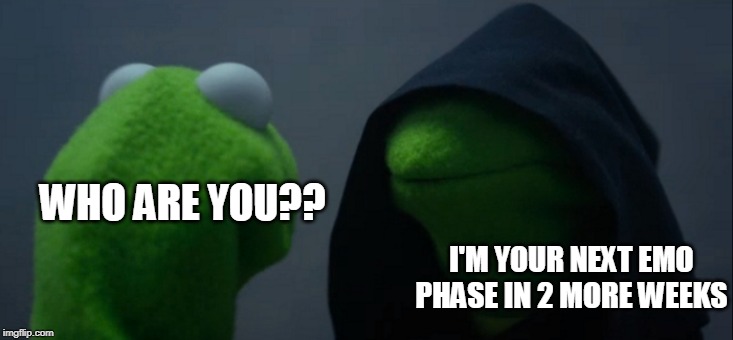 Evil Kermit |  WHO ARE YOU?? I'M YOUR NEXT EMO PHASE IN 2 MORE WEEKS | image tagged in memes,evil kermit | made w/ Imgflip meme maker