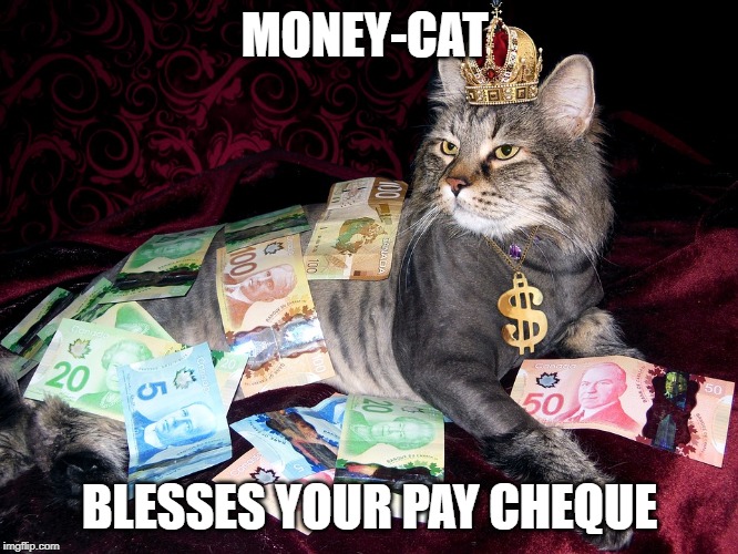 MONEY-CAT; BLESSES YOUR PAY CHEQUE | image tagged in money,cat,canadian,paycheque,blessings | made w/ Imgflip meme maker