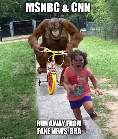 Orangutan chasing girl on a tricycle | MSNBC & CNN RUN AWAY FROM FAKE NEWS, BRA | image tagged in orangutan chasing girl on a tricycle | made w/ Imgflip meme maker