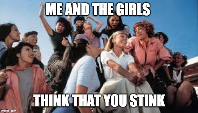 ME AND THE GIRLS THINK THAT YOU STINK | made w/ Imgflip meme maker