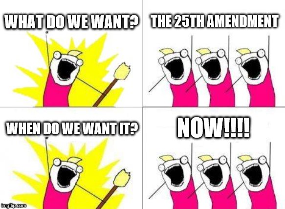 What Do We Want | WHAT DO WE WANT? THE 25TH AMENDMENT; NOW!!!! WHEN DO WE WANT IT? | image tagged in memes,what do we want | made w/ Imgflip meme maker