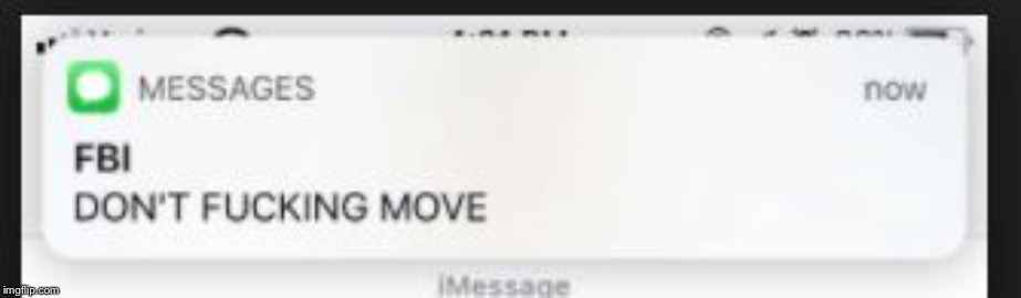 FBI Don't move | image tagged in fbi don't move | made w/ Imgflip meme maker