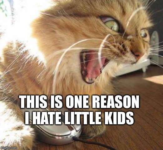angry cat | THIS IS ONE REASON I HATE LITTLE KIDS | image tagged in angry cat | made w/ Imgflip meme maker