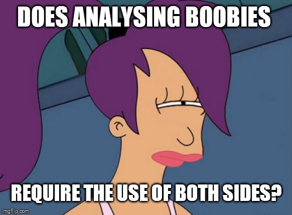 Futurama Leela Meme | DOES ANALYSING BOOBIES REQUIRE THE USE OF BOTH SIDES? | image tagged in memes,futurama leela | made w/ Imgflip meme maker