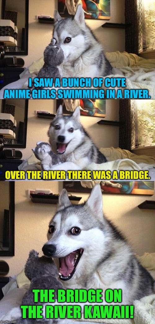 Bad Pun Dog | I SAW A BUNCH OF CUTE ANIME GIRLS SWIMMING IN A RIVER. OVER THE RIVER THERE WAS A BRIDGE. THE BRIDGE ON THE RIVER KAWAII! | image tagged in memes,bad pun dog | made w/ Imgflip meme maker