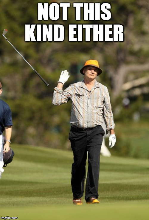 Bill Murray Golf Meme | NOT THIS KIND EITHER | image tagged in memes,bill murray golf | made w/ Imgflip meme maker