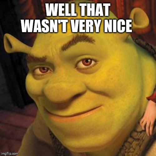Shrek Sexy Face | WELL THAT WASN'T VERY NICE | image tagged in shrek sexy face | made w/ Imgflip meme maker