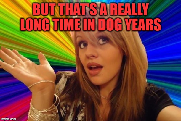 Dumb Blonde Meme | BUT THAT'S A REALLY LONG TIME IN DOG YEARS | image tagged in memes,dumb blonde | made w/ Imgflip meme maker