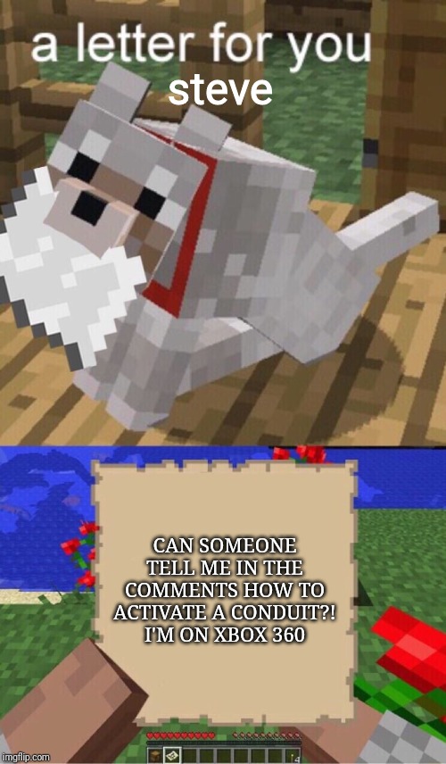 Minecraft Mail | steve; CAN SOMEONE TELL ME IN THE COMMENTS HOW TO ACTIVATE A CONDUIT?! I'M ON XBOX 360 | image tagged in minecraft mail | made w/ Imgflip meme maker