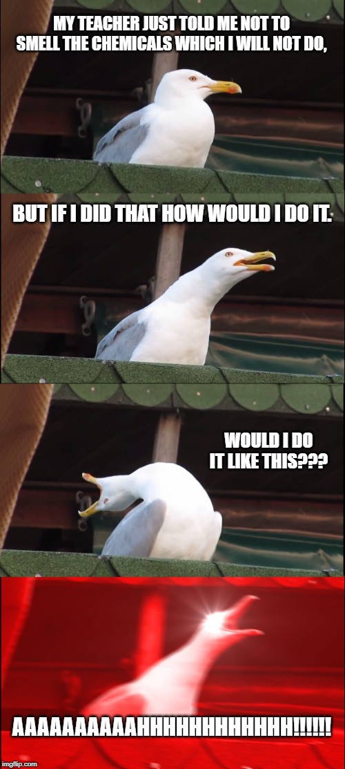 Inhaling Seagull Meme | MY TEACHER JUST TOLD ME NOT TO SMELL THE CHEMICALS WHICH I WILL NOT DO, BUT IF I DID THAT HOW WOULD I DO IT. WOULD I DO IT LIKE THIS??? AAAAAAAAAAHHHHHHHHHHHH!!!!!! | image tagged in memes,inhaling seagull | made w/ Imgflip meme maker