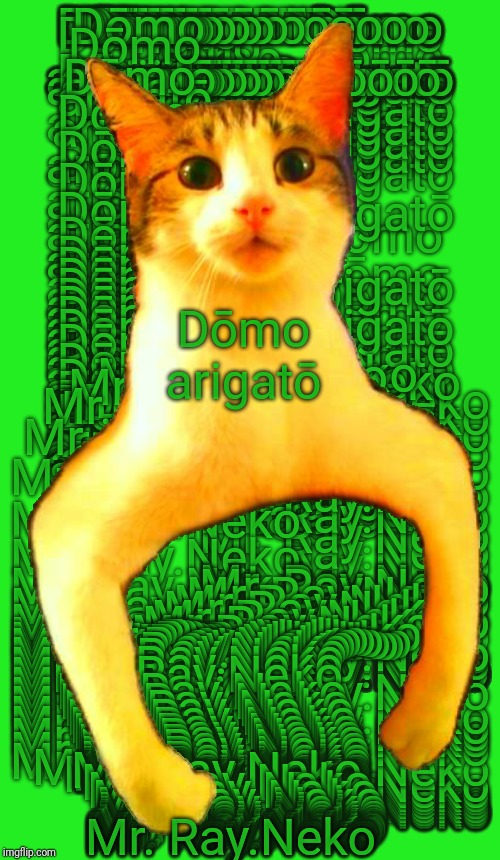 Dōmo arigatō, Mr. Ray.Neko |  Dōmo arigatō; Mr. Ray.Neko | image tagged in hypno raycat,raycat | made w/ Imgflip meme maker