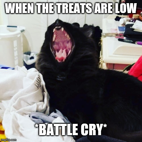 Screaming Kylo | WHEN THE TREATS ARE LOW; *BATTLE CRY* | image tagged in screaming kylo | made w/ Imgflip meme maker