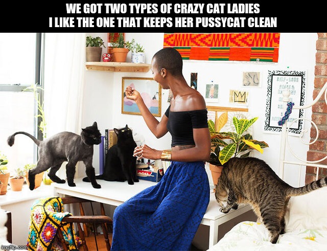 WE GOT TWO TYPES OF CRAZY CAT LADIES

I LIKE THE ONE THAT KEEPS HER PUSSYCAT CLEAN | made w/ Imgflip meme maker