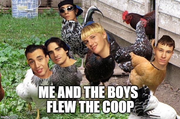 The Bock Street Boys | ME AND THE BOYS FLEW THE COOP | image tagged in the bock street boys | made w/ Imgflip meme maker